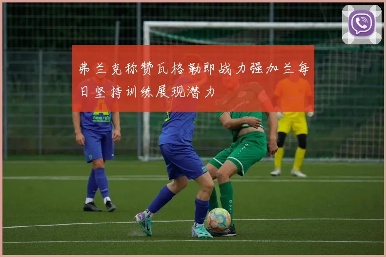 弗兰克称赞瓦格勒即战力强加兰每日坚持训练展现潜力
